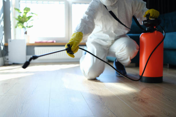 Reliable Unattended Death Cleanup contractor in Ridgecrest, FL by Crime Scene Cleaner Online